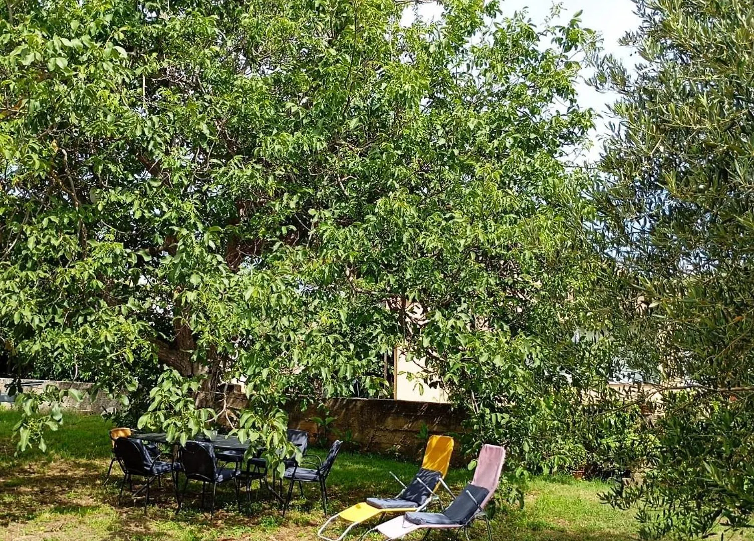 Apartmán Apartmani Joja Biograd Na Moru Chorvatsko